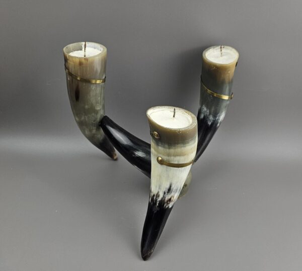Horn Candle Holder Stand
