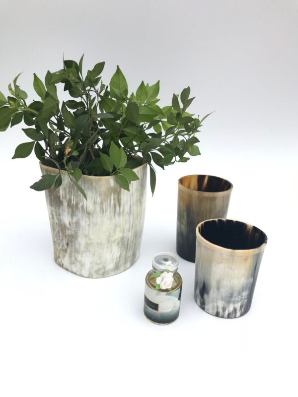 Horn Vase Horn Pot